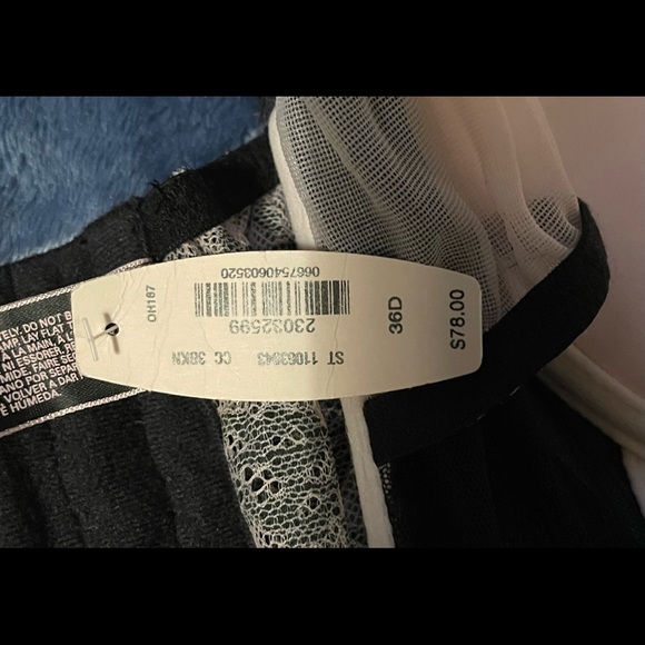 Sheer Lace Teddy - Picture 4 of 4